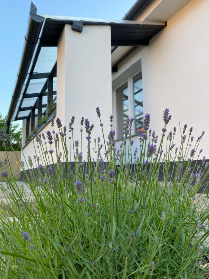 Lavender Garden Apartment Дебрецен Екстериор снимка